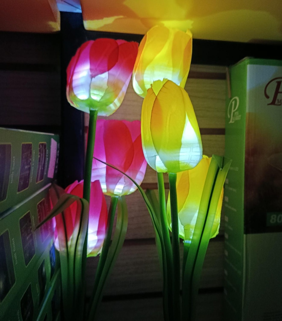 TULIPAN SOLAR PACK X 2 |AJ440343|