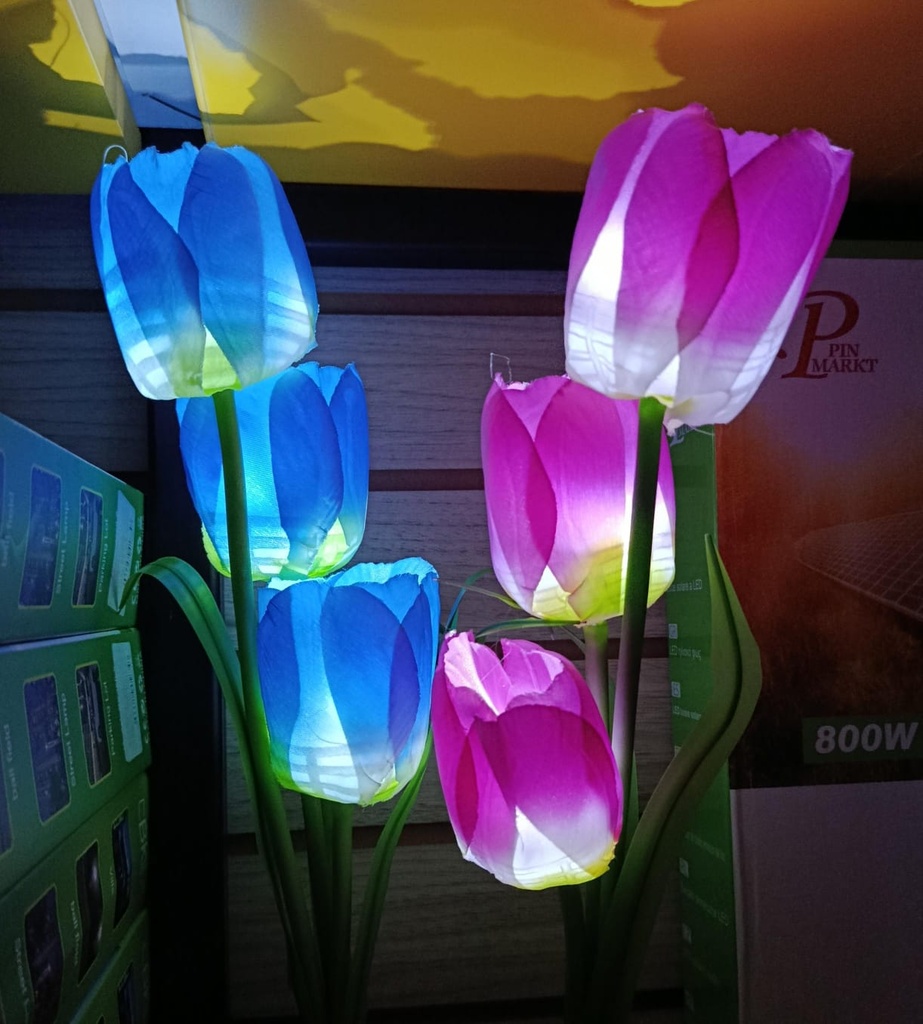 TULIPAN SOLAR PACK X 2 |AJ440343|