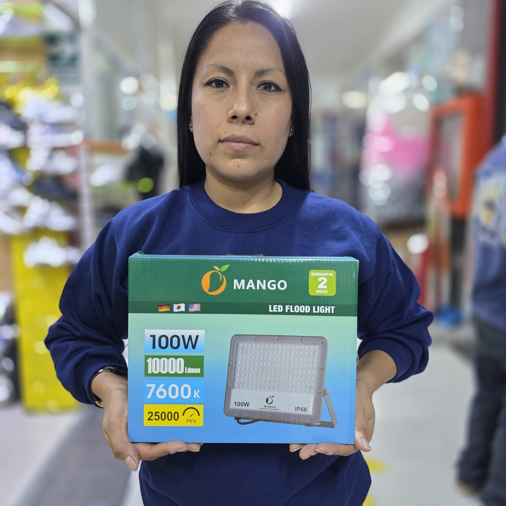 REFLECTOR ELECTRICO 100W PARA EXTERIORES |440256|