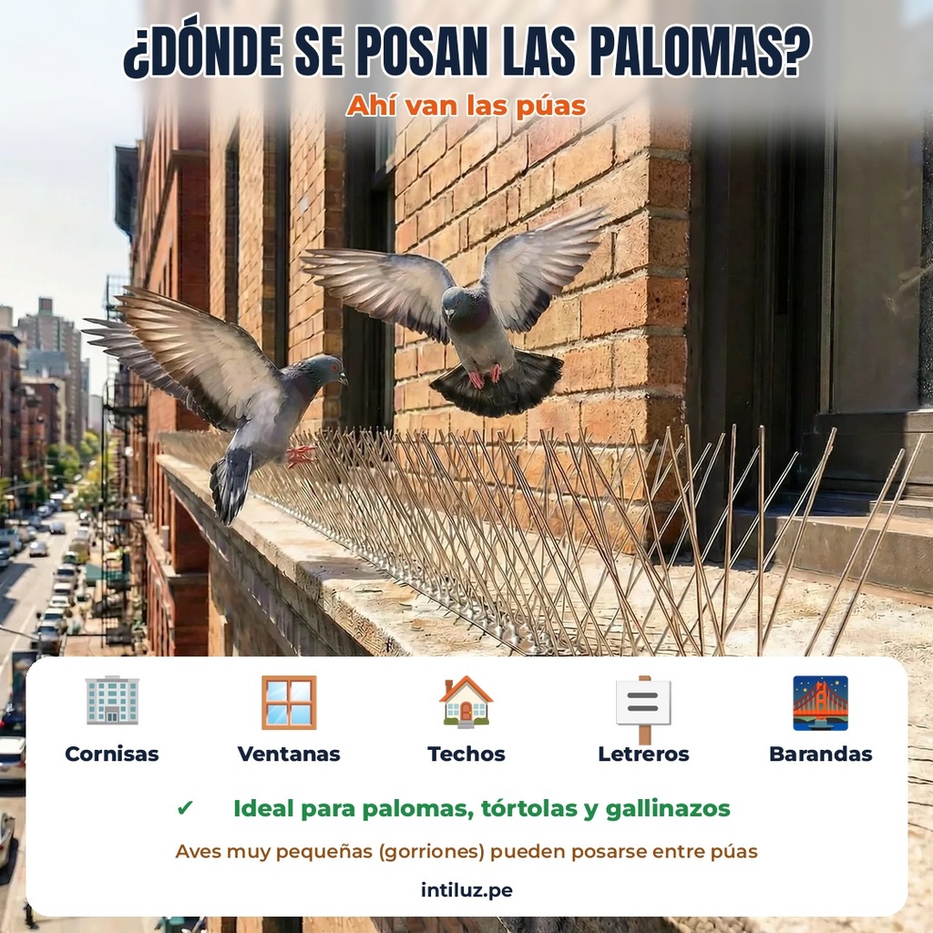 PUAS ANTIPALOMAS DE ACERO INOXIDABLE 304, 50cm, 60 PUAS |MY-PUAS50|